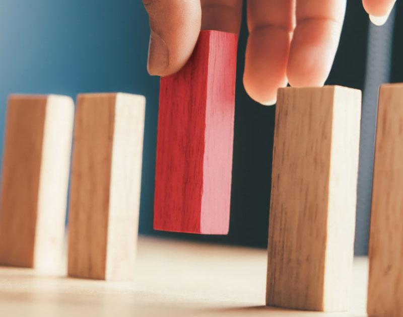 Morbi blandit cursus risus at ultrices